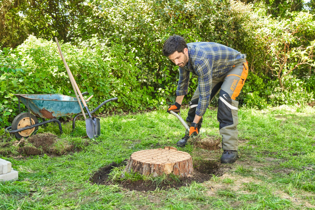 Stump Removal: Professional Methods and Complete Solutions for Your Landscape