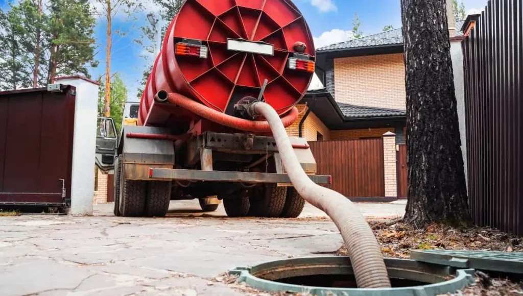 Professional Tree Removal: Expert Services and Safety Standards for Complete Solutions

