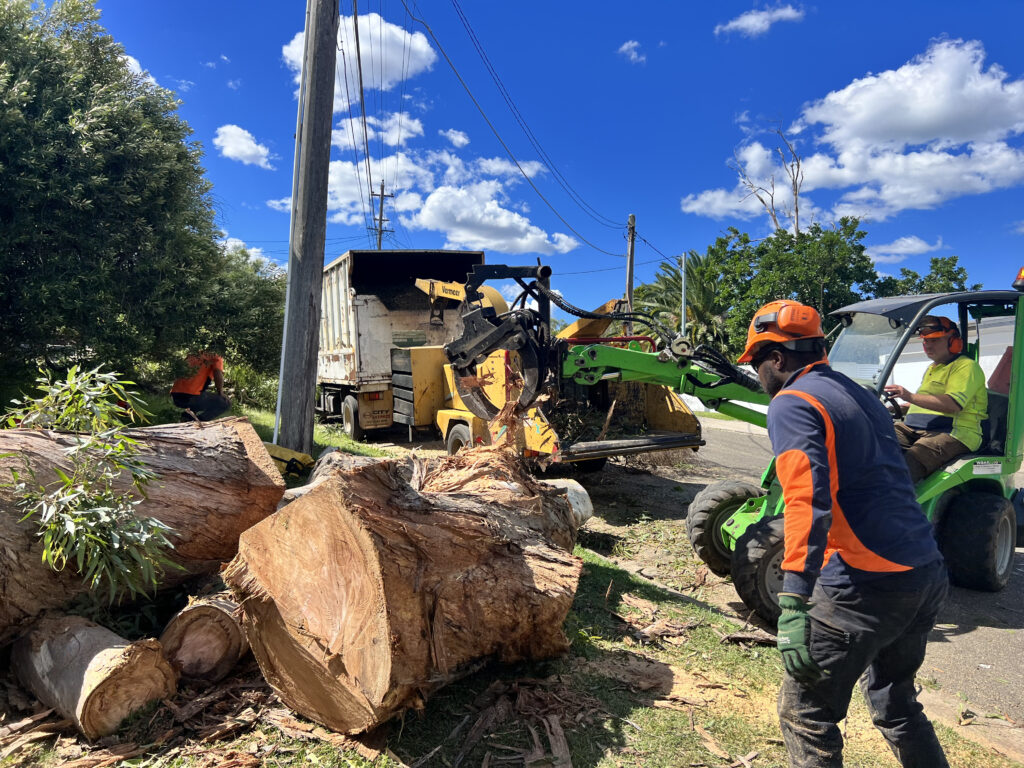 Arborist Sydney: Certified Tree Care Professionals Providing Expert Services and Solutions

