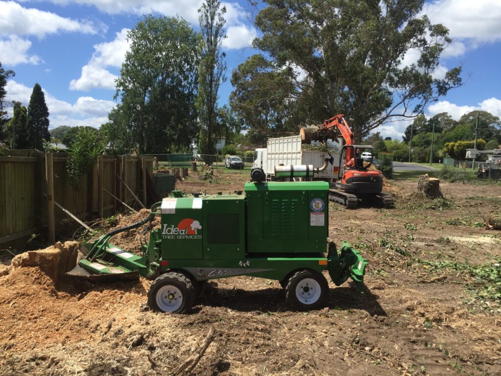 Stump Grinding Sydney: Professional Services and Fast Elimination of Tree Remnants

