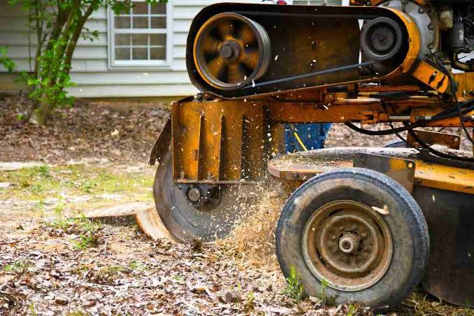 Stump Grinding Sydney: Professional Services and Fast Elimination of Tree Remnants

