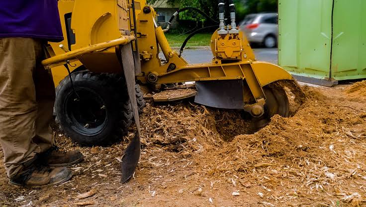 Stump Grinding Sydney: Professional Services and Fast Elimination of Tree Remnants